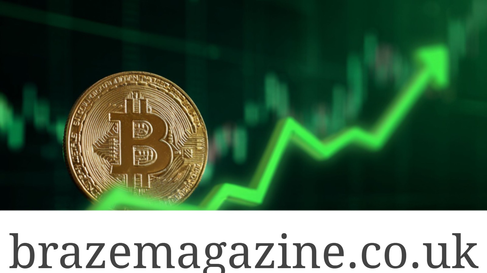 Crypto30x.com Catfish