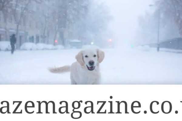 Moderate Snow Ice Warning