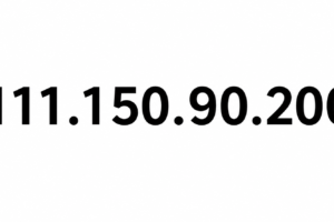 111.150.90.2004